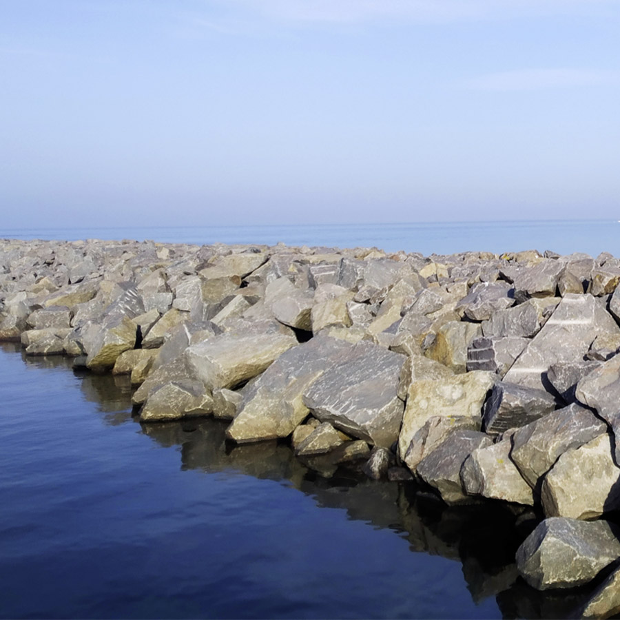 nicole albrecht coaching blomberg